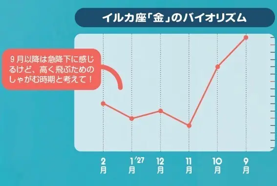 イルカ座「金」のバイオリズム