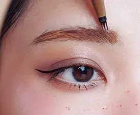 1 眉頭の毛並みを立てる