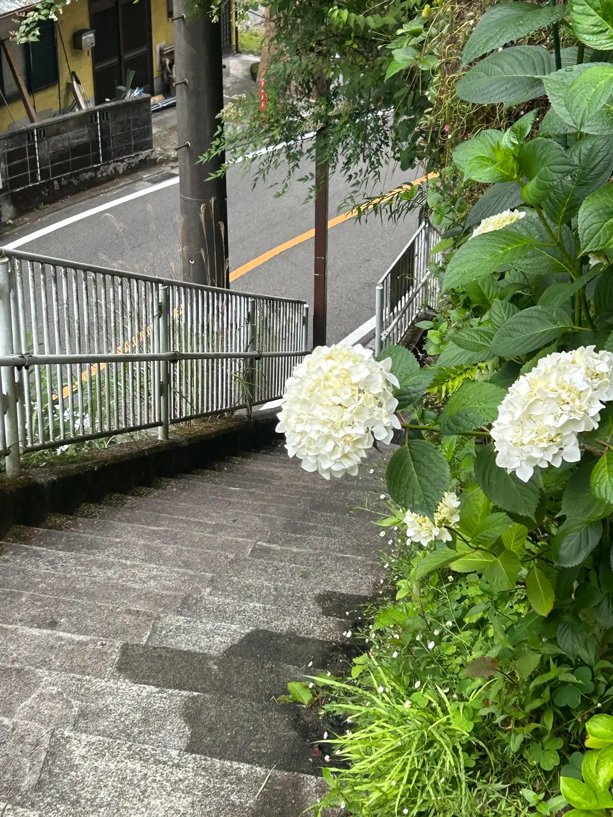 入江美沙希ブログ　沢山歩いた箱根旅５