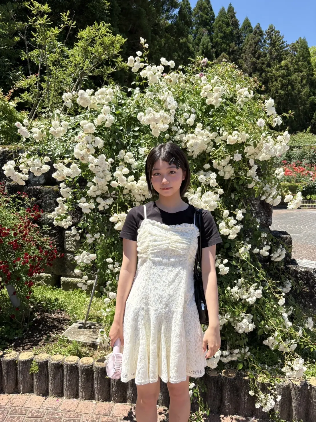 稲光ブログ３