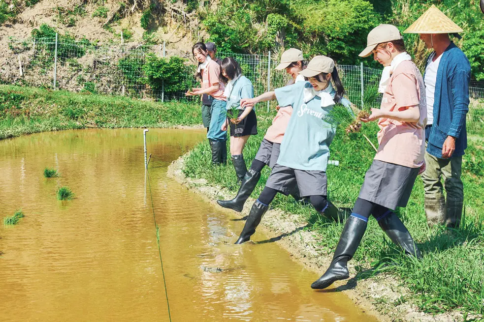 田植え体験