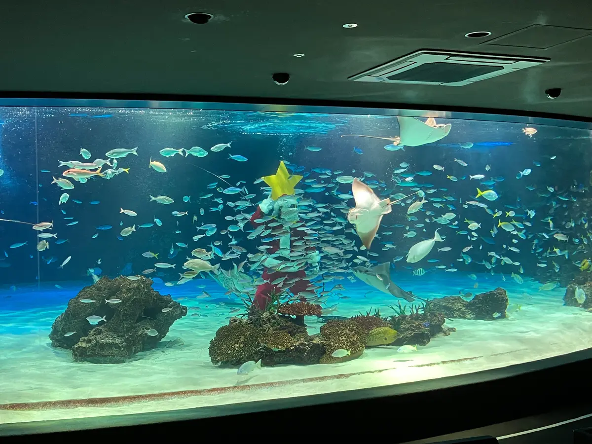 サンシャインラグーン フィーディングタイム