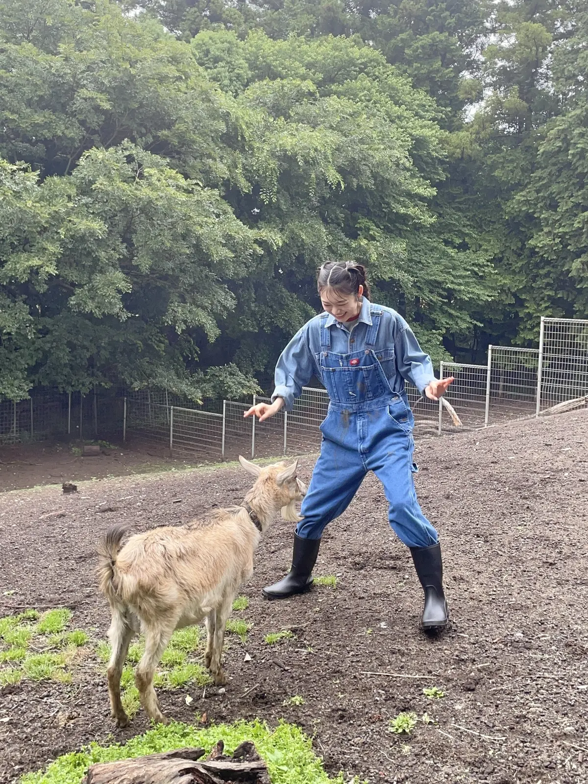月島ブログ３