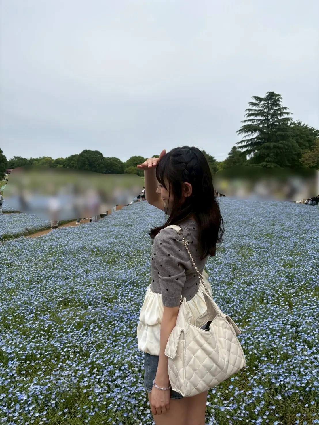原田ブログ　ネモフィラ５