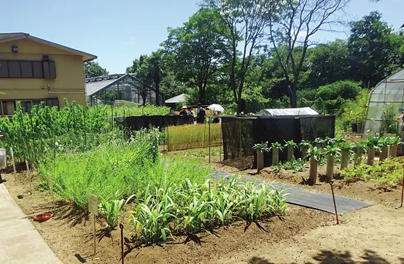 【東北大学】数多くの世界的研究者を輩出！ “研究第一主義”を掲げる国立大