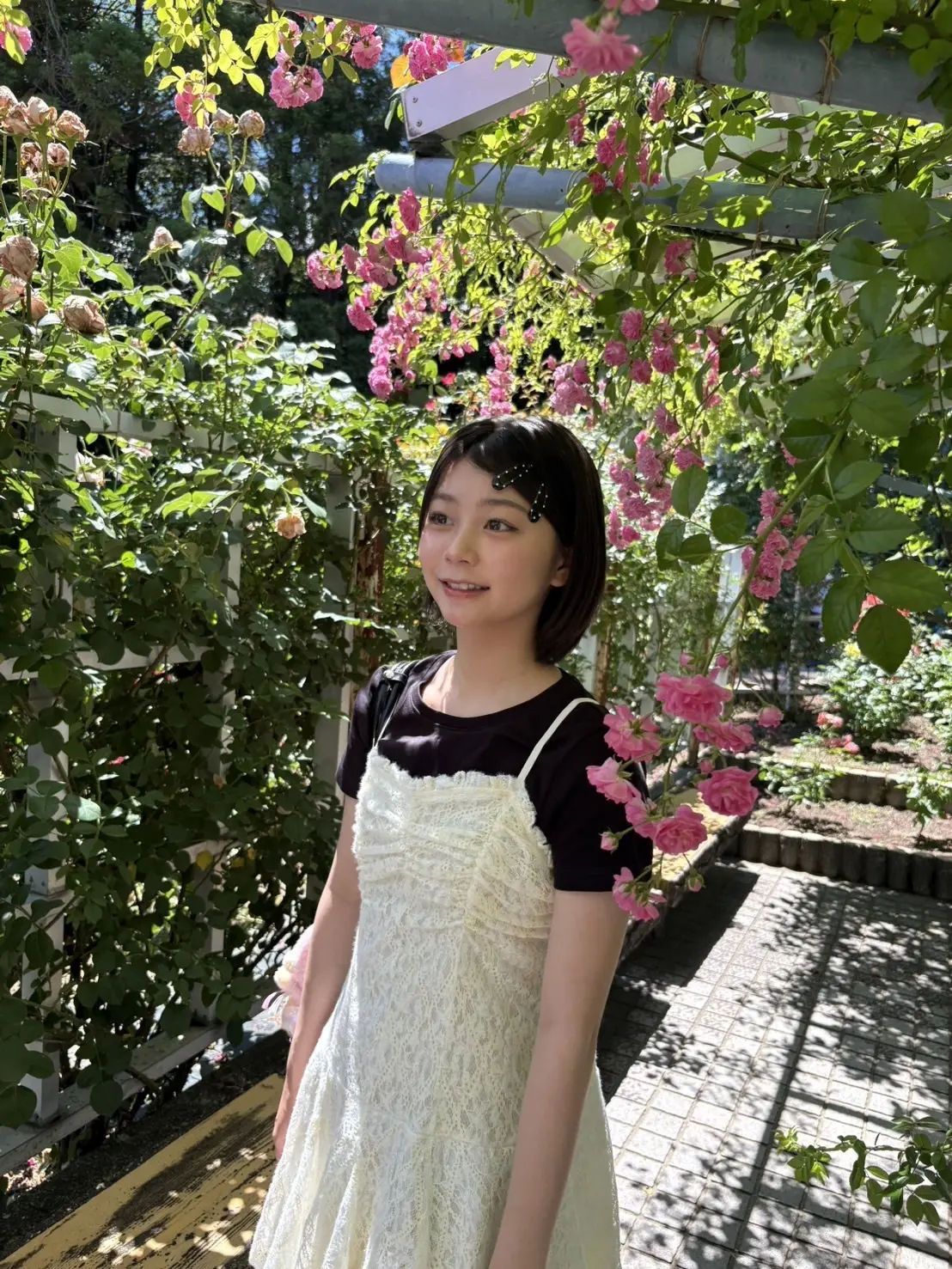 稲光ブログ２
