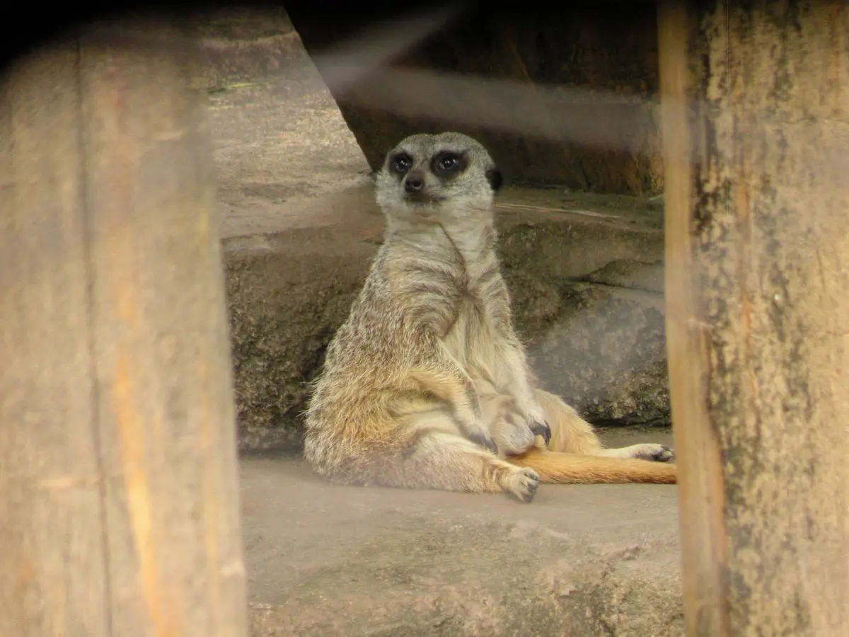 佐々木　ブログ　動物園へ