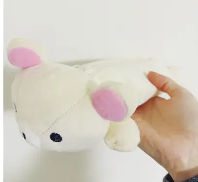 滝口芽里衣はコリラックマに興味あり！