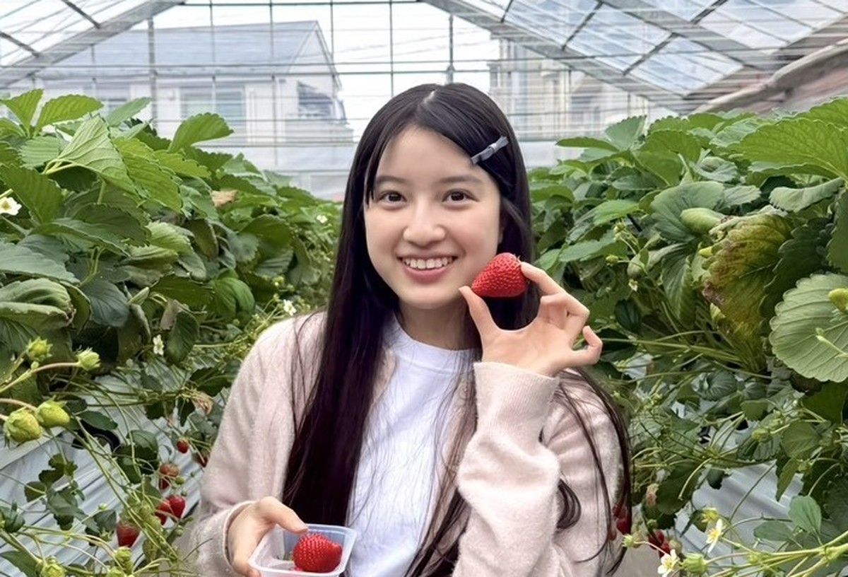川瀬翠子】いちご狩り | Seventeen-Web