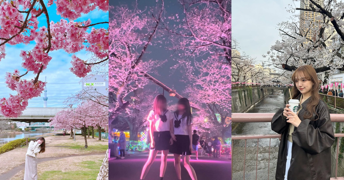 a6db8251-1d85-4fc6-9700-