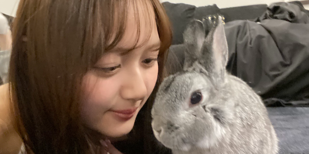 882023d8-d2bb-4a1b-92e1-