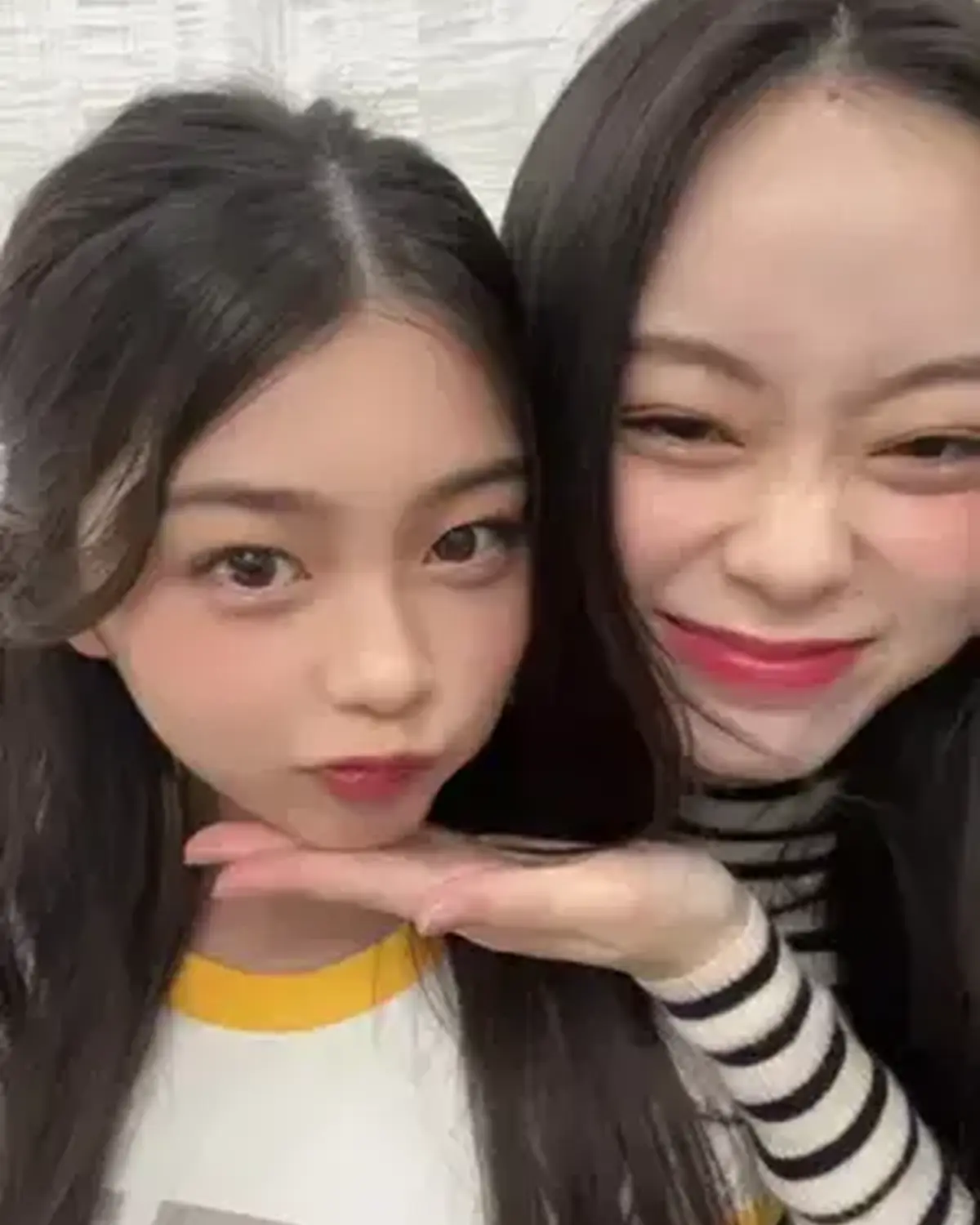 あいにゃんとふじこ👩🏻‍❤️‍👩🏻🤍 ふじこの卒業前に最後に撮影がかぶってました💞 @稲光亜依  @fujiko  #稲光亜依 #佐藤不二子 #Seventeenモデル #可愛い女の子 #高校生　