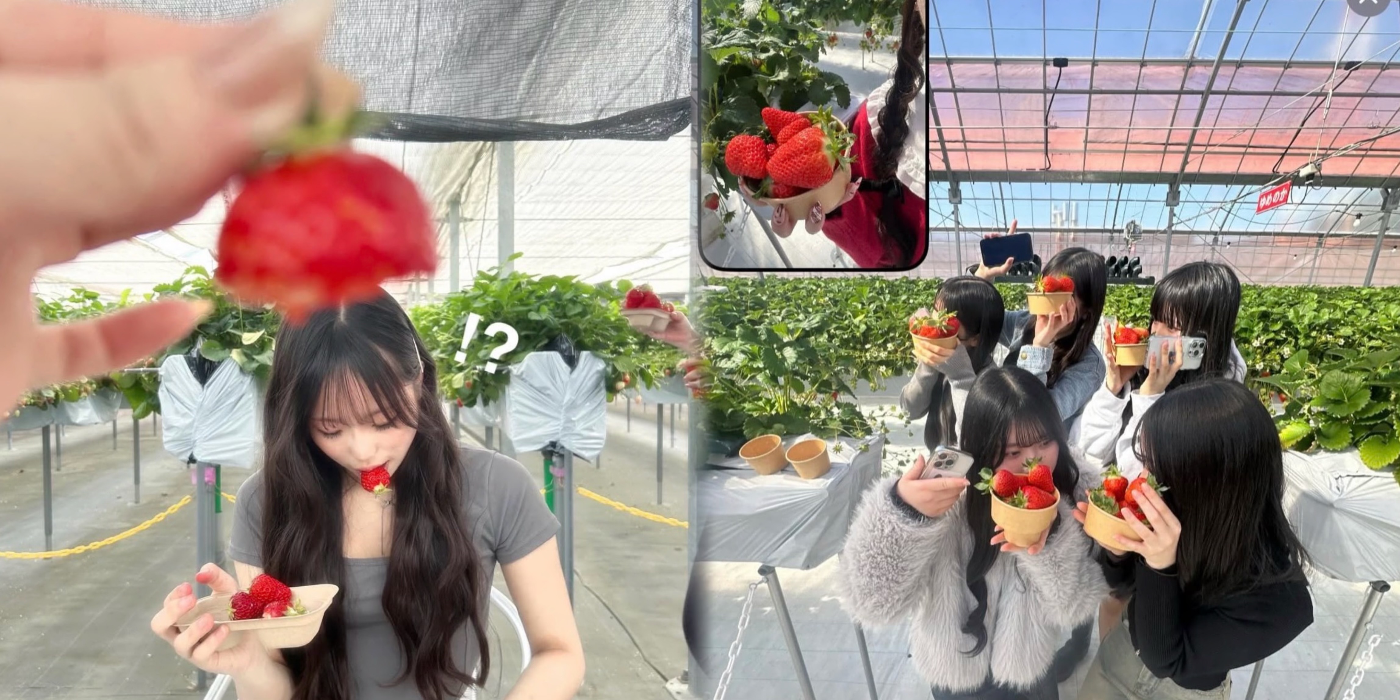 いちご狩りの季節まっただ中！ 爆盛れ間違いなしの撮り方4選♡