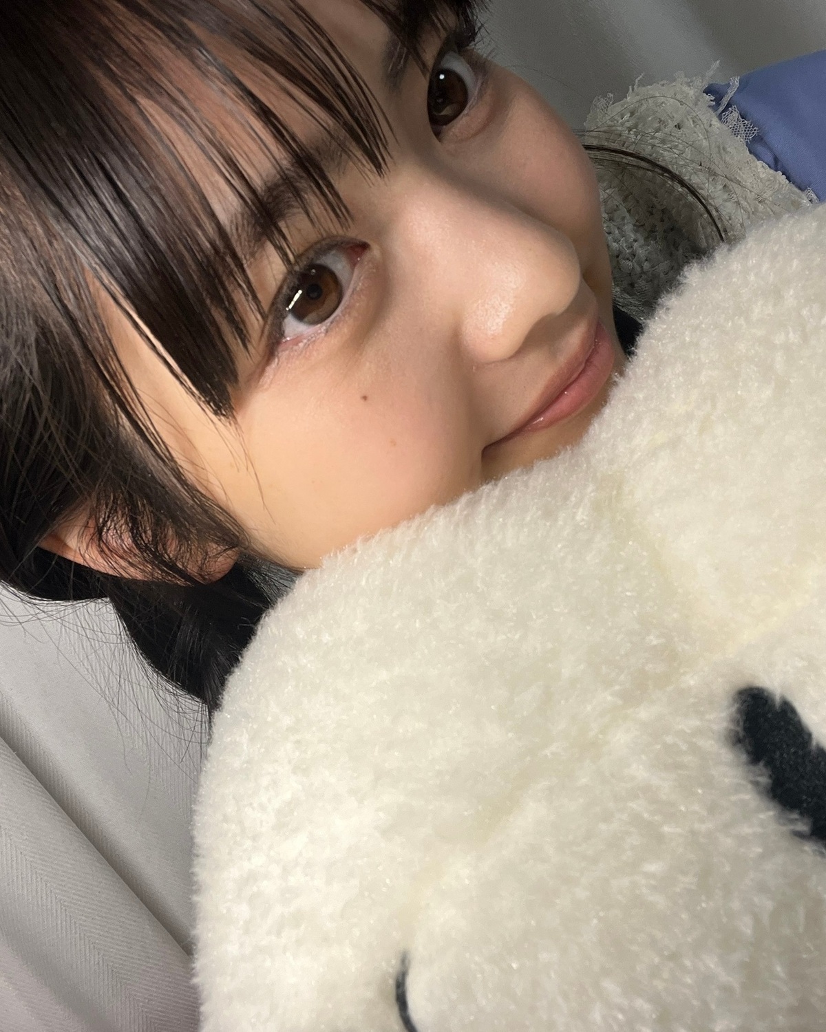 セブンティーンモデル