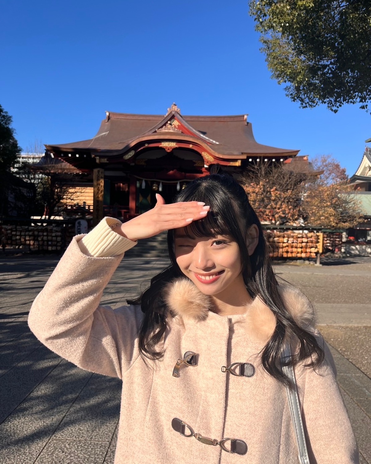 セブンティーンモデル