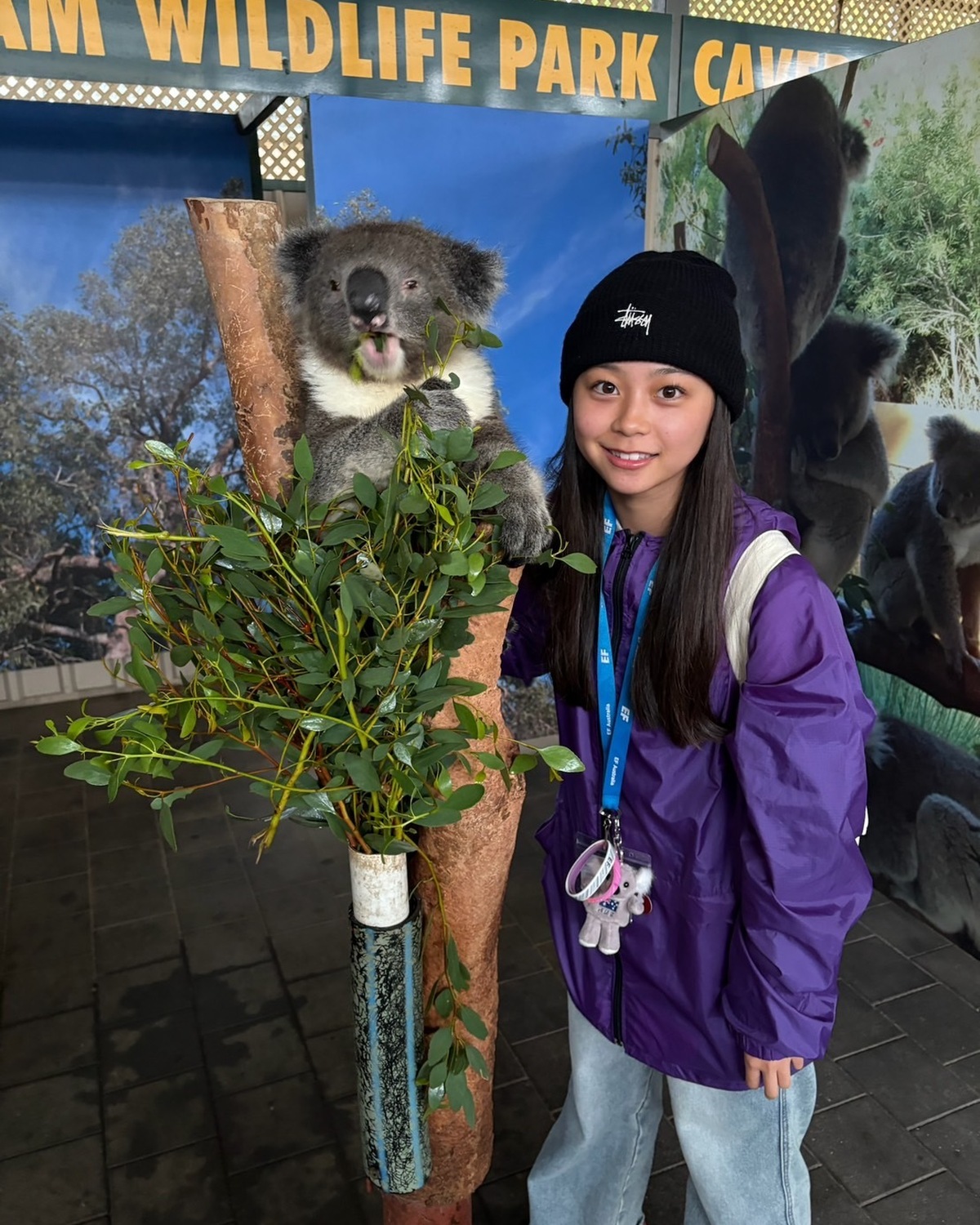 【稲光亜依】オーストラリアの動物園