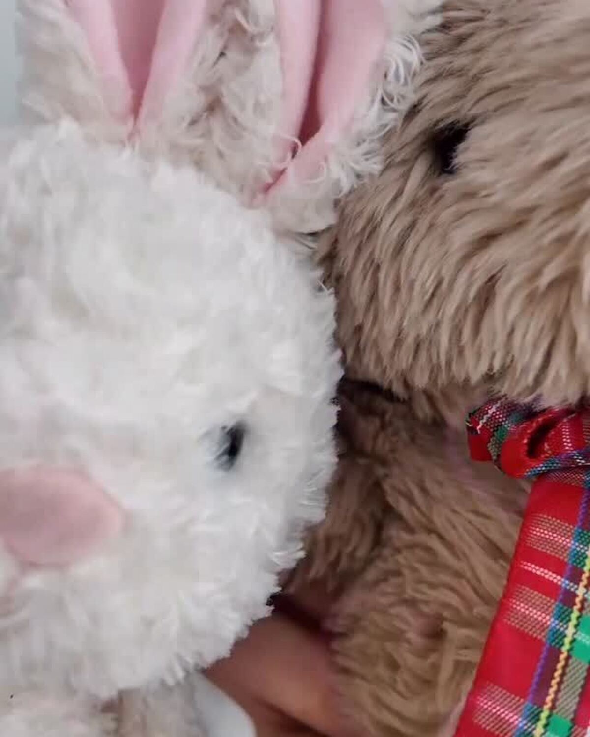 Seventeen秋号📖ついに明日発売🎀💕購入する準備はOK？🐰🐻秋号は表紙が2パターン！！上坂樹里表紙版と、SPY×FAMILY表紙版があるよ🤩ST-Webでは試し読みや予約販売も受付中💁🏻‍♀️✨
