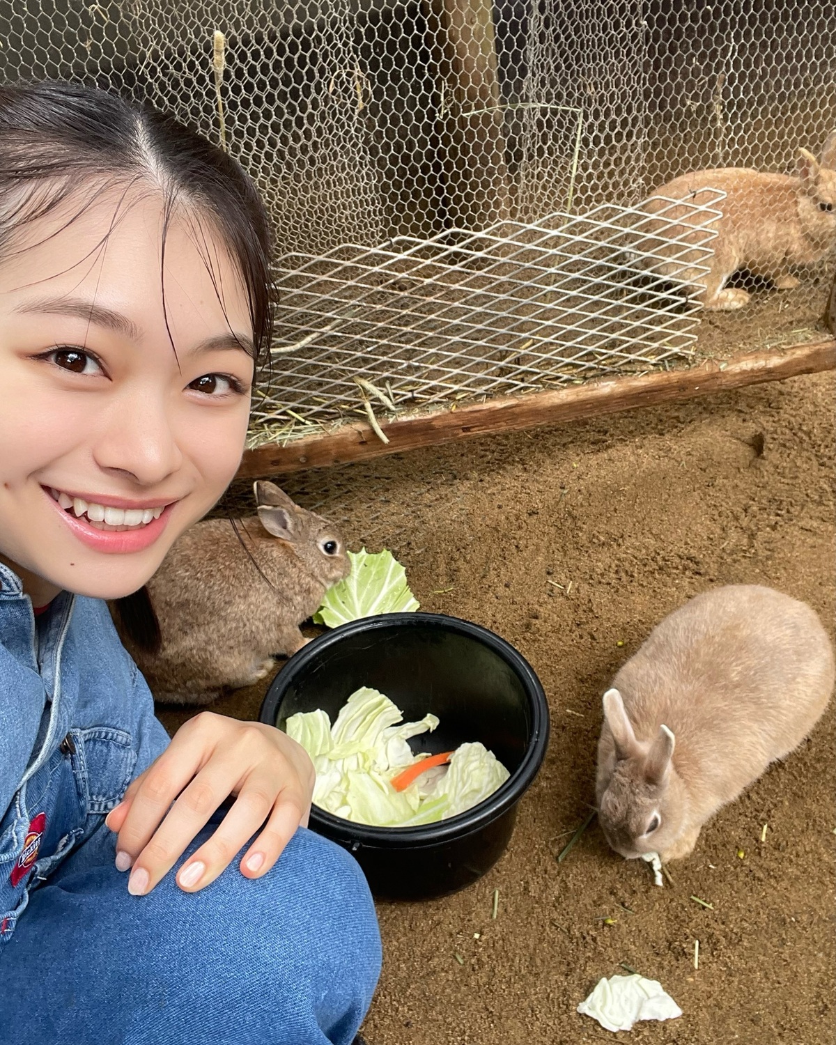 るいとうさぎ🐇🤍うさぎたちのお世話もしたよ🥕るいの可愛さと優しさがうさぎたちにもすぐに伝わって一瞬で仲良しに🥺💞⊹₊⟡⋆˚⊹—————————⊹₊⟡⋆˚⊹Seventeen秋号発売中📖🤎STモデルのオ