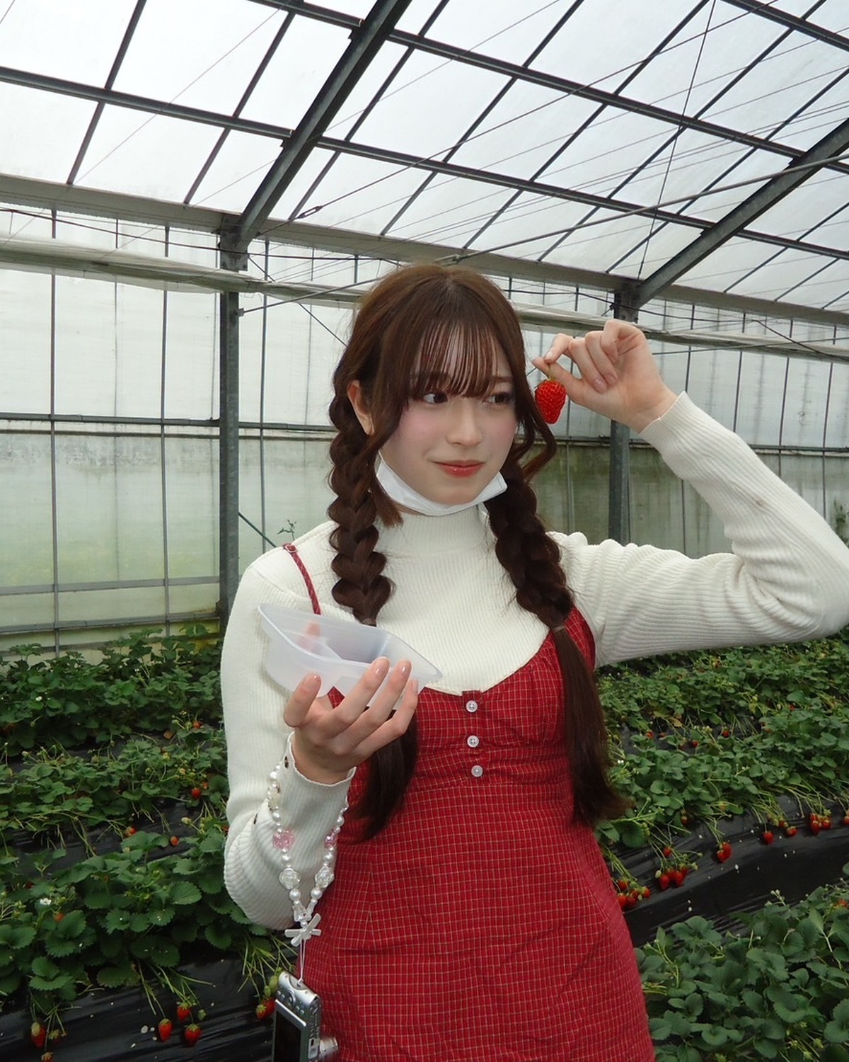 いちご狩り🍓【葛西杏也菜】