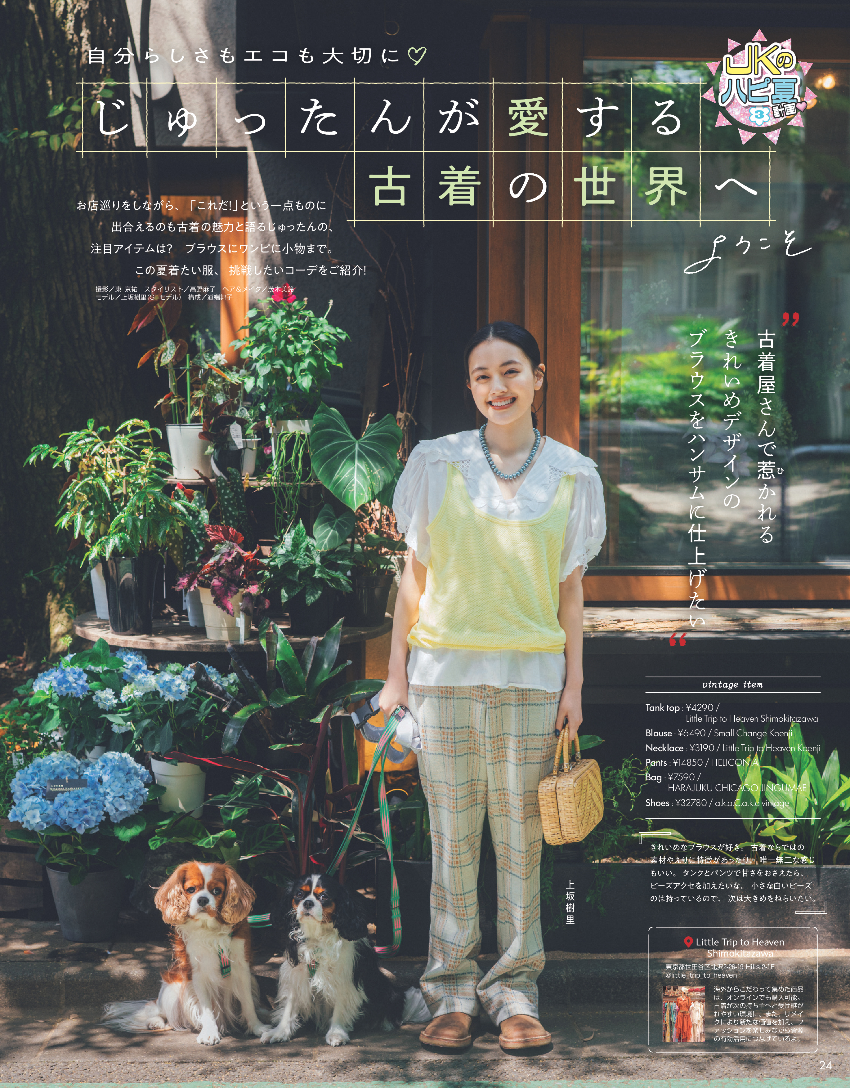 Seventeen2026夏号8
