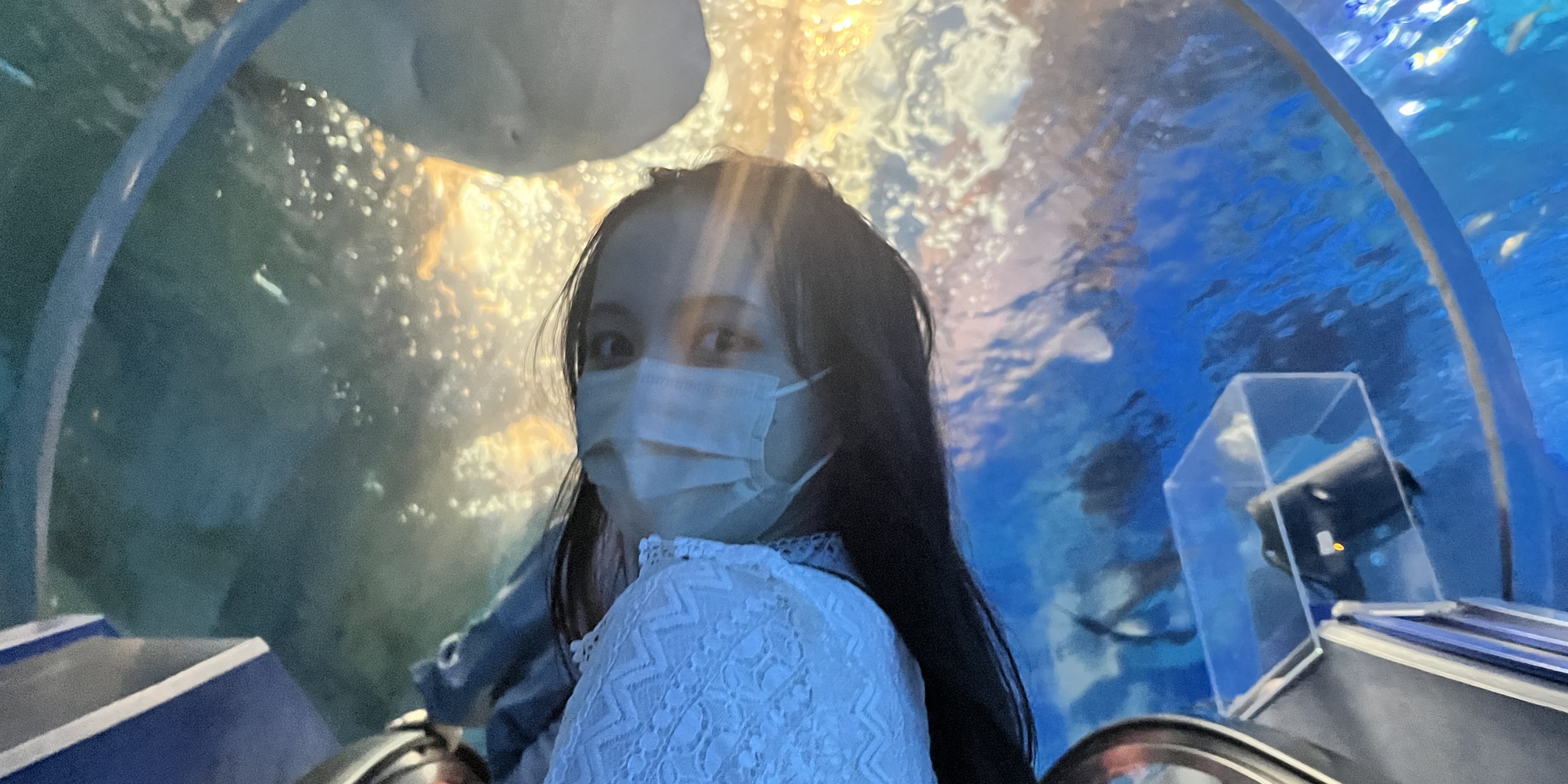 水族館🐬