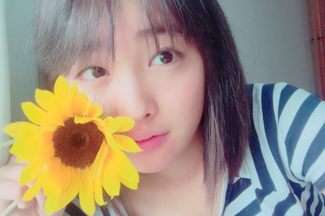 🌻🌻🌻