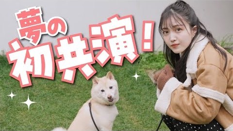 【永久保存版】久保史緒里×柴犬の最強コラボ企画実現！