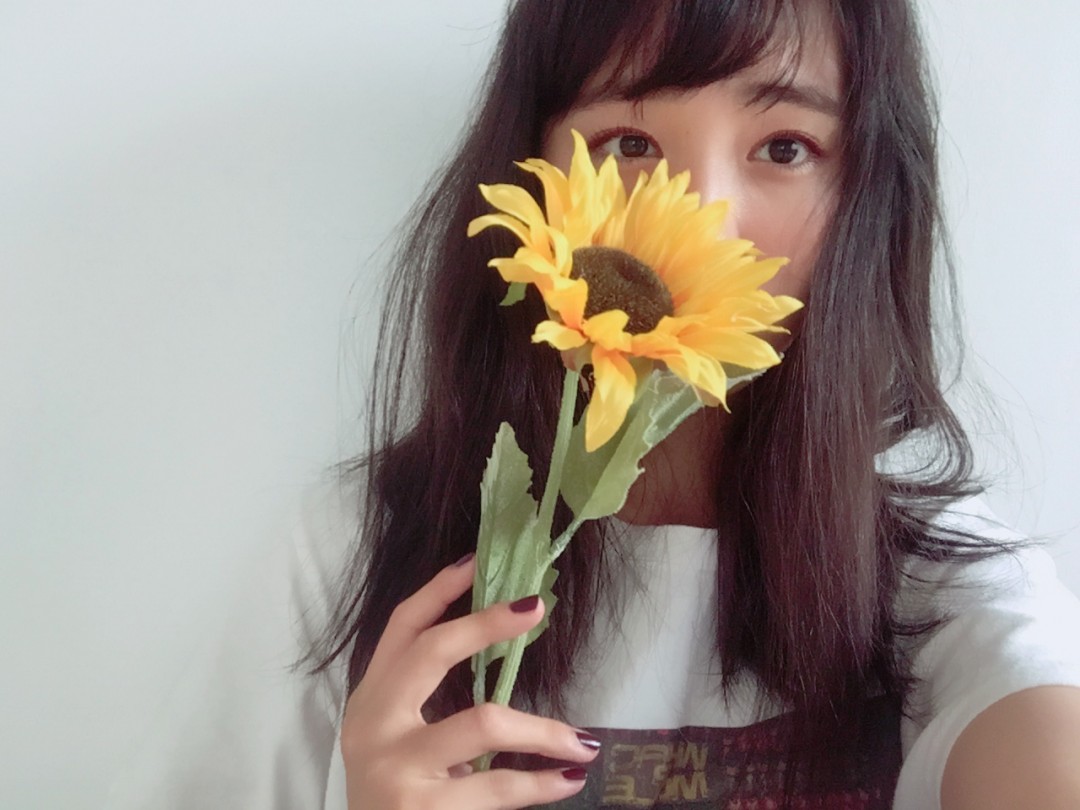 🌻🌻🌻