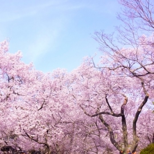 新学期にすぐできる♪　カンタン心理テスト♥