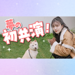 【永久保存版】久保史緒里×柴犬の最強コラボ企画実現！