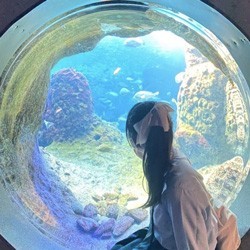 暑い夏を涼しく☆ 水族館に出かけるJKが増えてる！