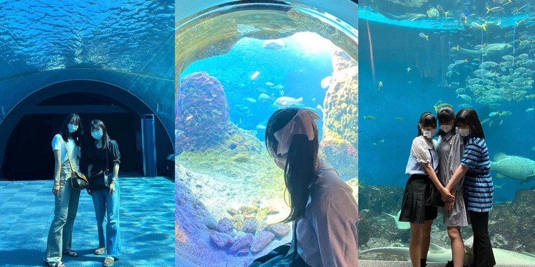 暑い夏を涼しく☆ 水族館に出かけるJKが増えてる！