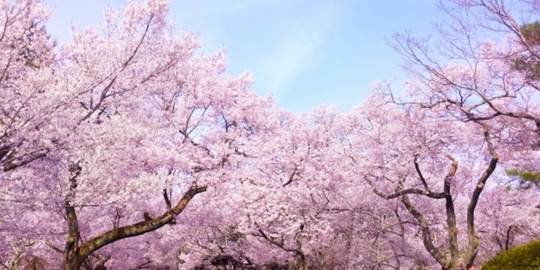 新学期にすぐできる♪　カンタン心理テスト♥