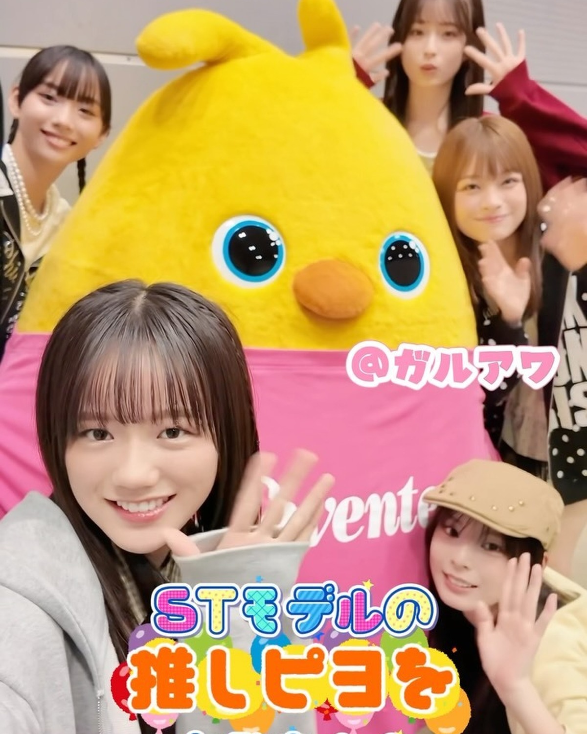 かわいさが大渋滞♡STモデルたちの推しぴよカラーを大発表🐥💖ゲルぴよといえばの黄色を選ぶモデルはいるのか？！😮💛ぬいぐるみキーホルダーは全5色展開で、バッグやスクバにつけても絶対かわいい💼🎀お友達と色