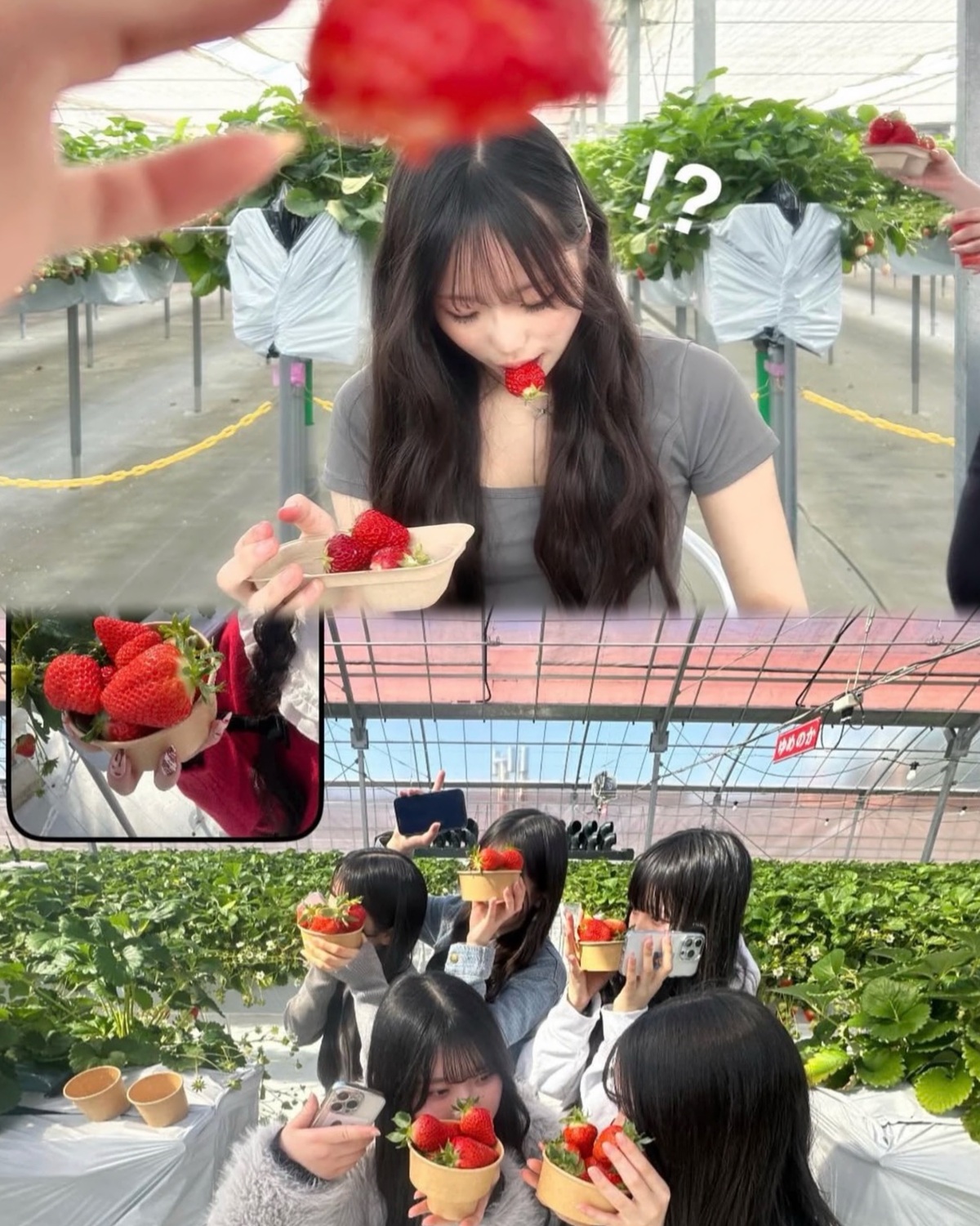 いちご狩りの季節まっただ中！ 爆盛れ間違いなしの撮り方4選♡