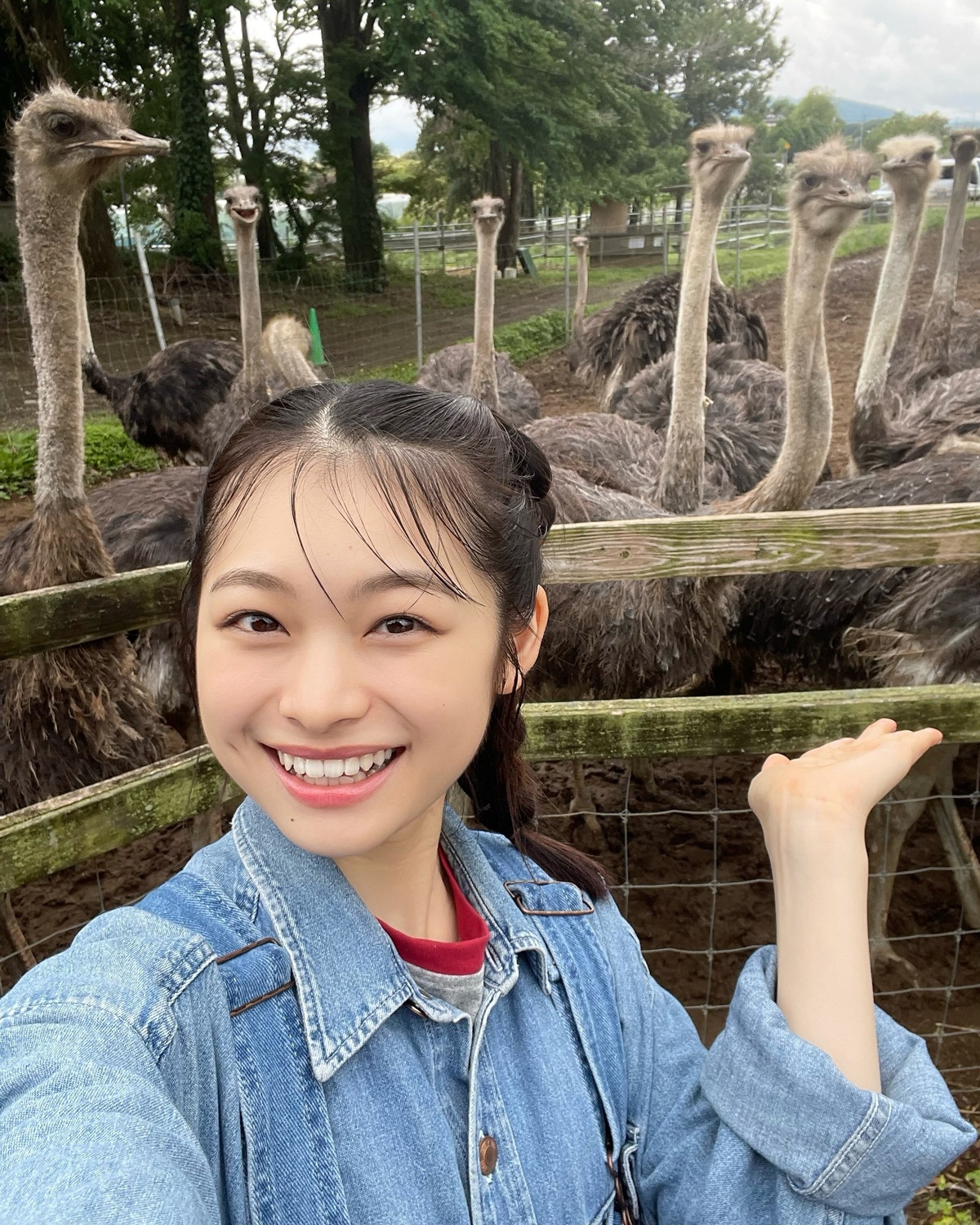 ダチョウと琉衣🤍🤍2枚目と4枚目でるいが持っているのは…！？なんとダチョウの卵😳🥚るいの顔ぐらい大きくてびっくり！！⊹₊⟡⋆˚⊹—————————⊹₊⟡⋆˚⊹STモデルのオフショットがもっとみたいコは