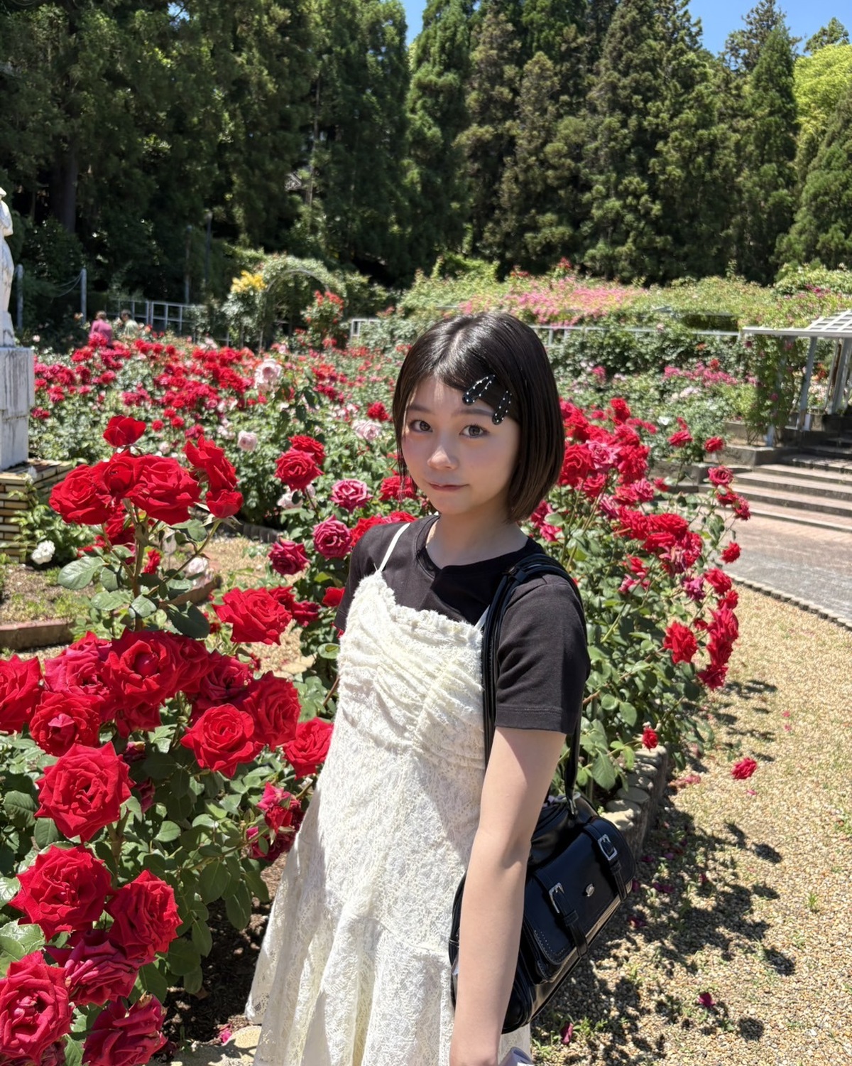 【稲光亜依】バラ園🌹