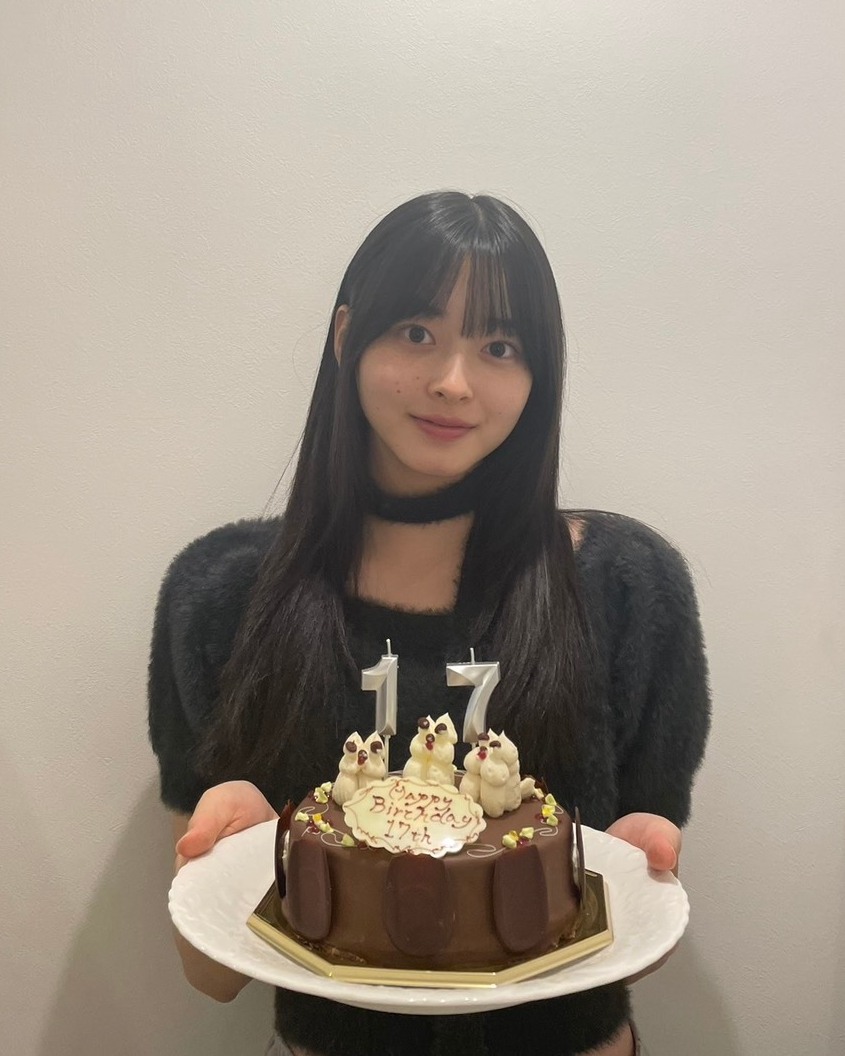 セブンティーンモデル