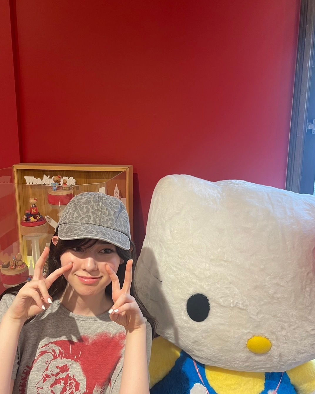 セブンティーンモデル
